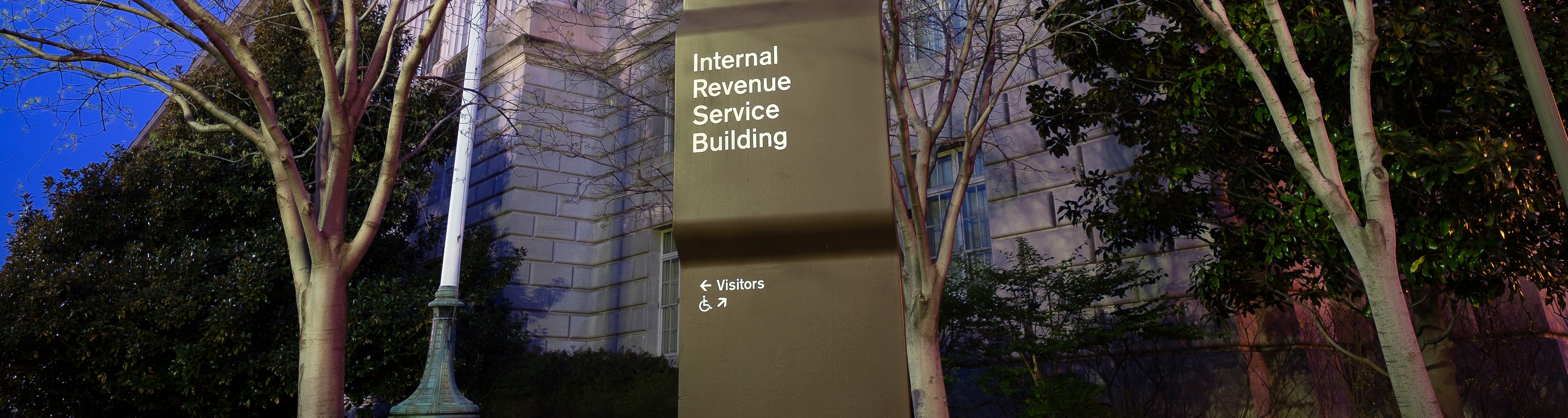 IRS_audit