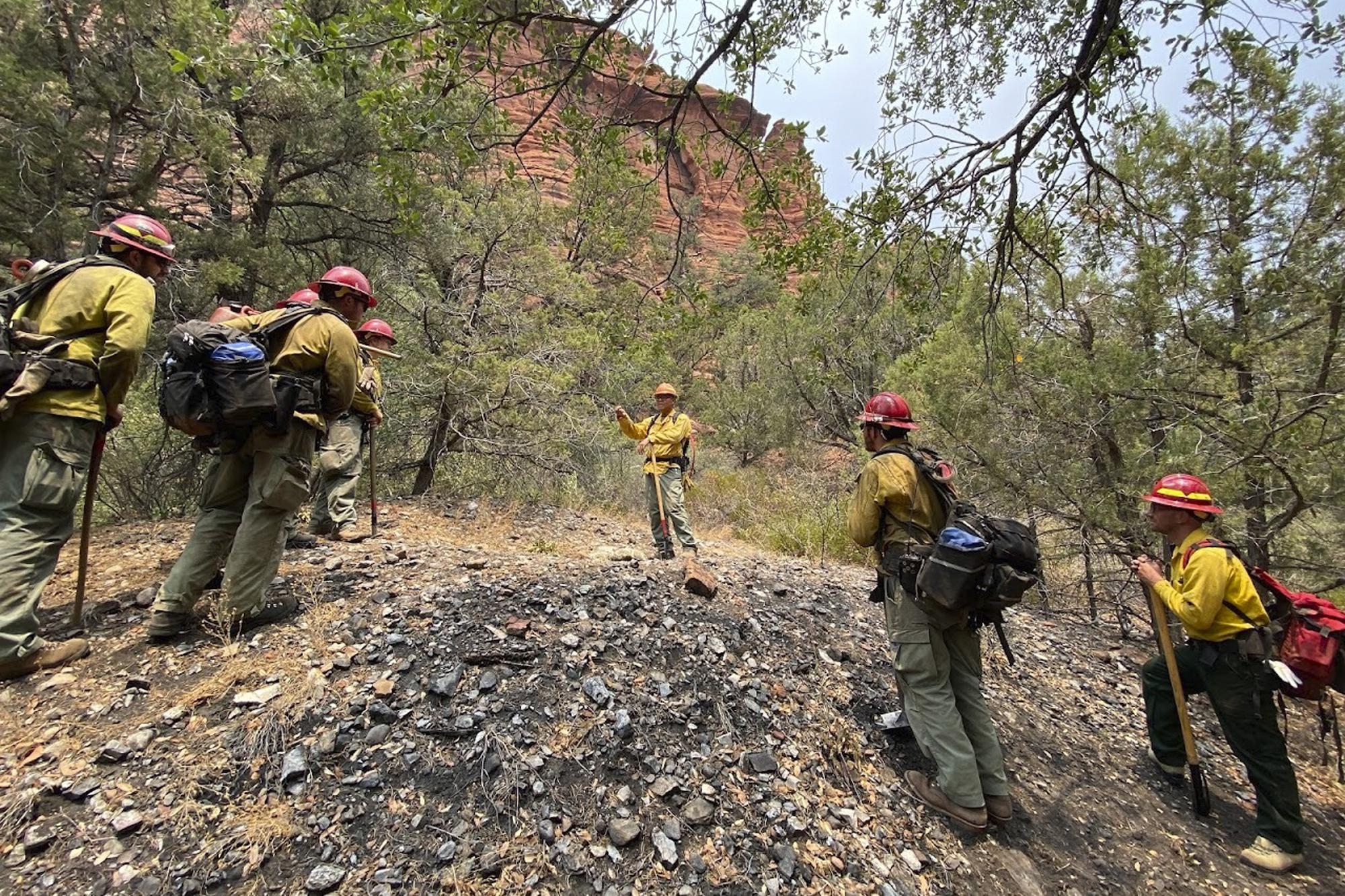 arizona fire crew prepping forest for potential wildfire